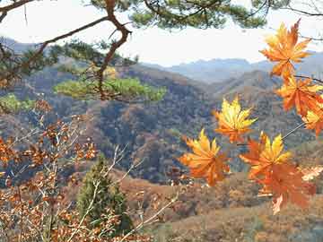 鄖縣住房和城鄉(xiāng)建設(shè)局招聘啟事概覽